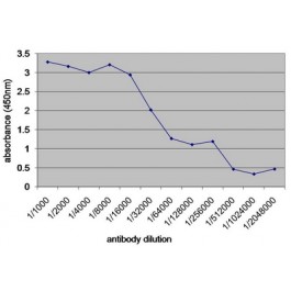 Acris Antibodies产品代理_其他实验室常用设备